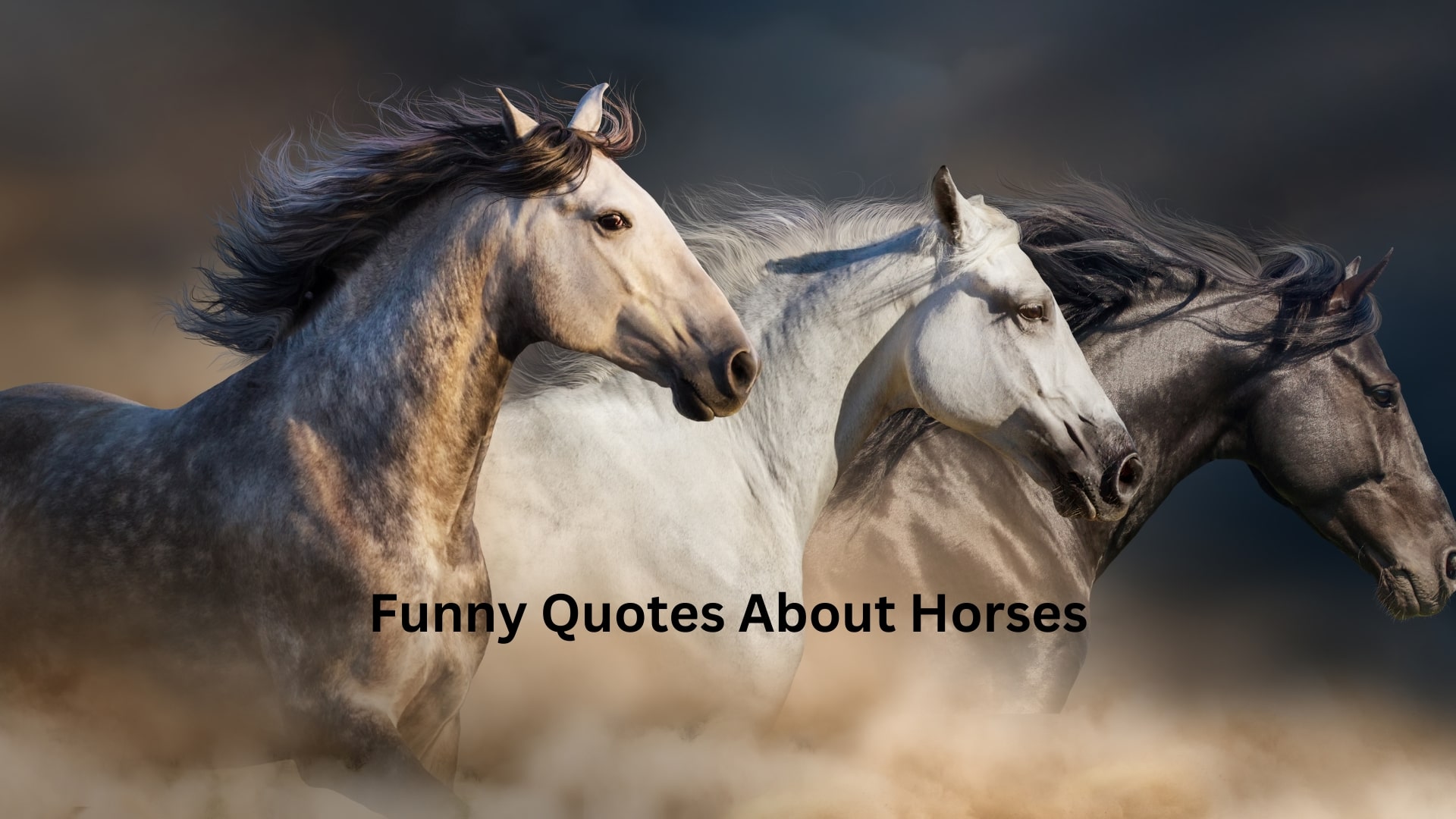 Funny Quotes About Horses