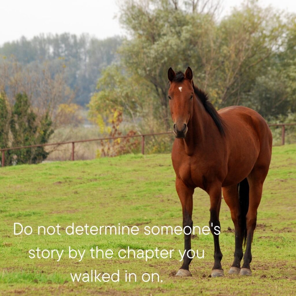 Horse Riding Quotes