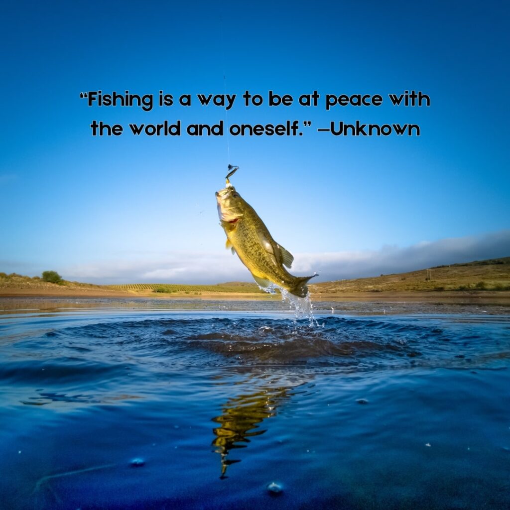 Fly Fishing Quotes